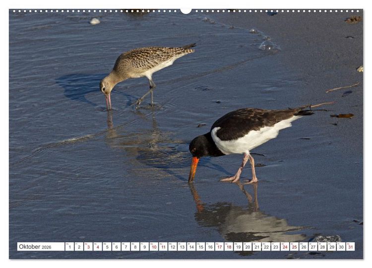 Produktbild: Helgoland - Hochseeinsel in der Nordsee (Wandkalender 2026 DIN A2 quer), CALVENDO Monatskalender