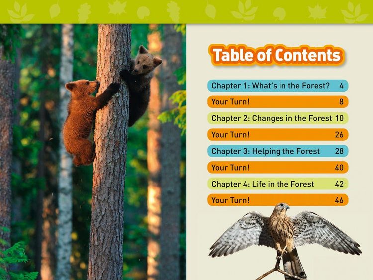 Produktbild: In the Forest