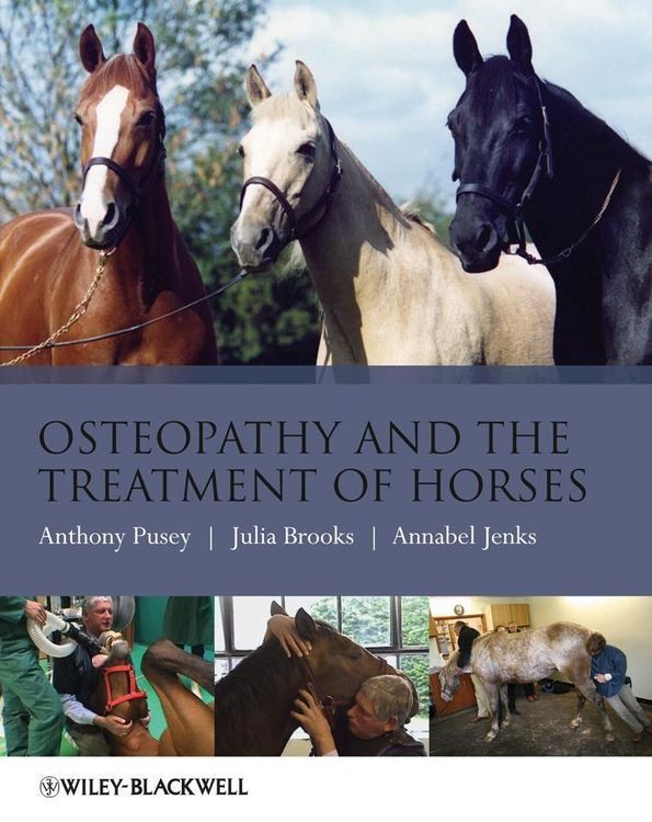 Produktbild: Osteopathy and the Treatment of Horses