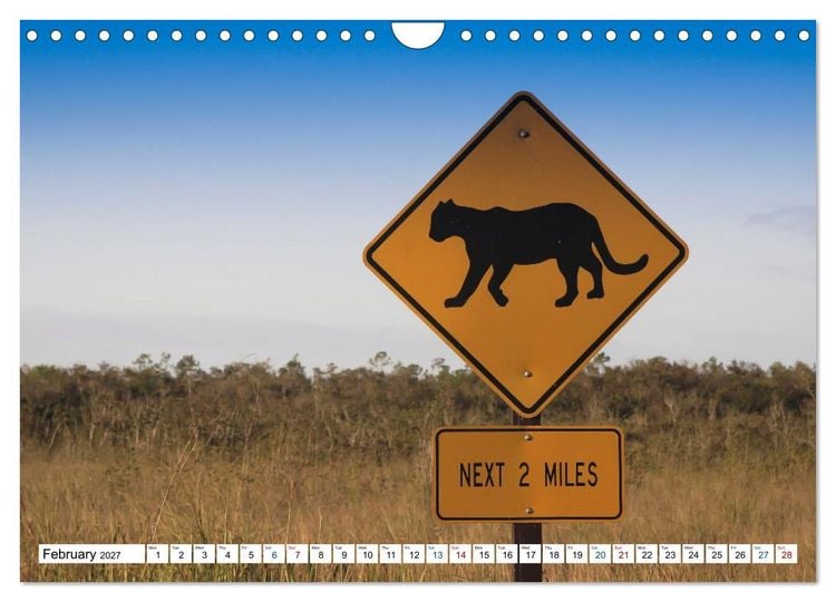 Produktbild: Sunshine State Florida Nature, Wildlife, National Parks (Wall Calendar 2027 DIN A4 landscape), CALVENDO 12 Month Wall Calendar