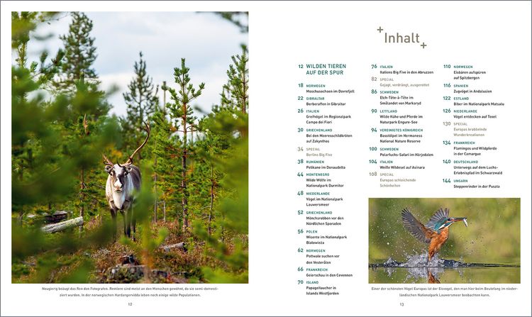 Produktbild: KUNTH Bildband Safari Europa