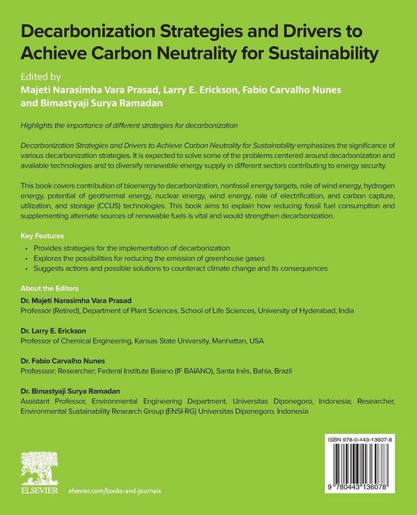 Produktbild: Decarbonization Strategies and Drivers to Achieve Carbon Neutrality for Sustainability