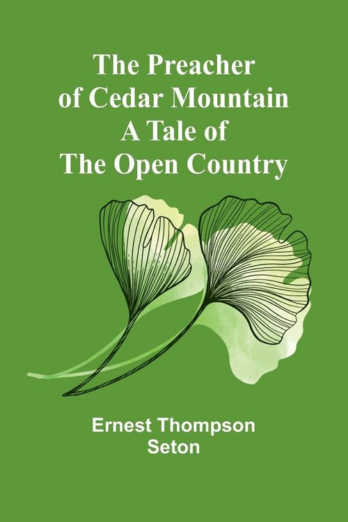 Produktbild: The Preacher of Cedar Mountain