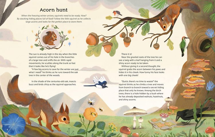 Produktbild: Little Stories from Nature
