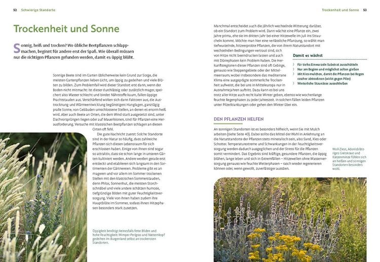 Produktbild: W&auml;chst nicht gibt's nicht