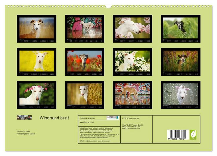 Produktbild: Windhund bunt (hochwertiger Premium Wandkalender 2026 DIN A2 quer), Kunstdruck in Hochglanz
