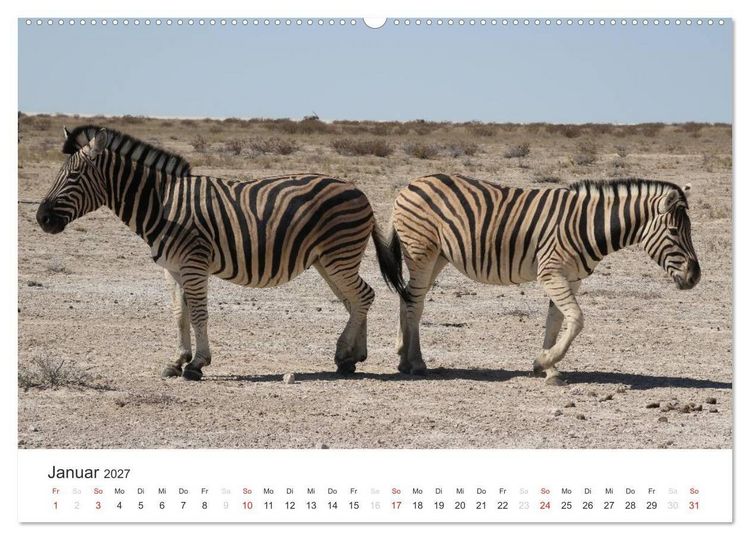 Produktbild: Namibia - Tierische Vielfalt (Wandkalender 2027 DIN A2 quer), CALVENDO Monatskalender