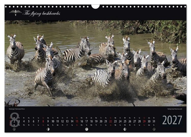 Produktbild: Tansania Blickwinkel 2027 (Wandkalender 2027 DIN A3 quer), CALVENDO Monatskalender