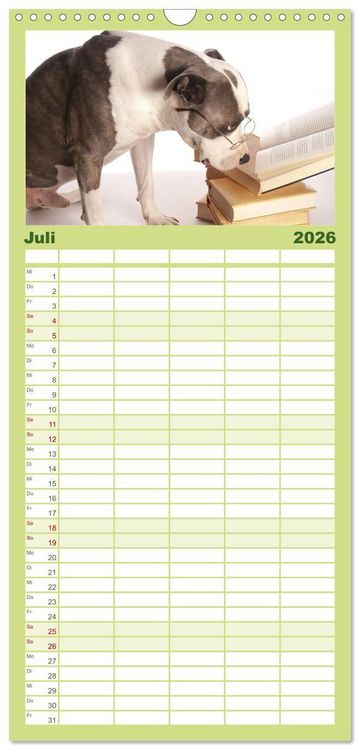 Produktbild: Familienplaner 2026 - American Staff und Co. mit 5 Spalten (Wandkalender, 21 x 45 cm) CALVENDO