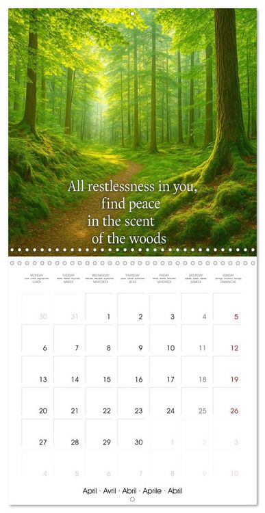 Produktbild: Let the moment guide you (Wall Calendar 2026 12 &times; 12 Inch) CALVENDO 12 Month Wall Calendar