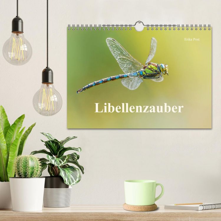 Produktbild: Libellenzauber (Wandkalender 2027 DIN A4 quer), CALVENDO Monatskalender