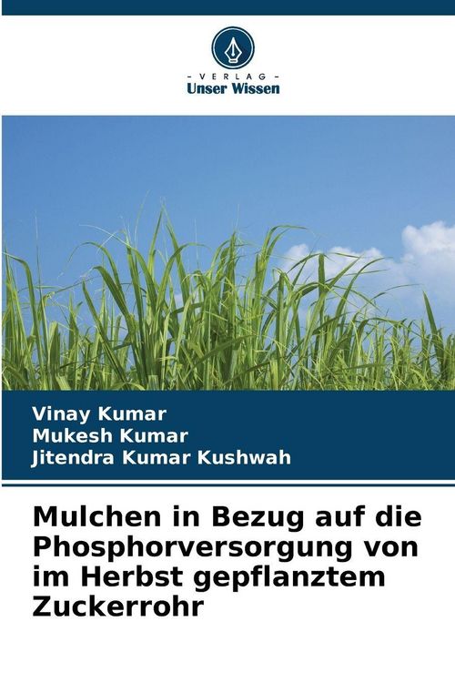 Produktbild: Mulchen in Bezug auf die Phosphorversorgung von im Herbst gepflanztem Zuckerrohr