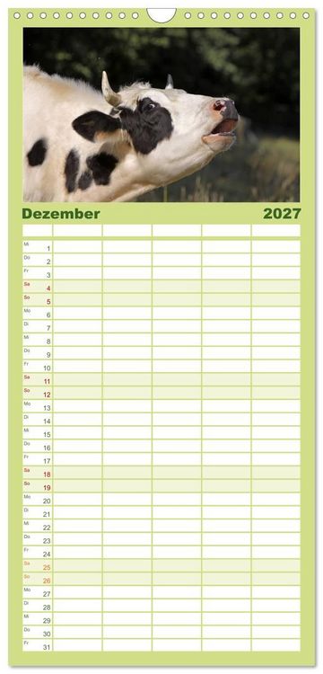 Produktbild: Familienplaner 2027 - Muuuhhh! mit 5 Spalten (Wandkalender, 21 x 45 cm) CALVENDO