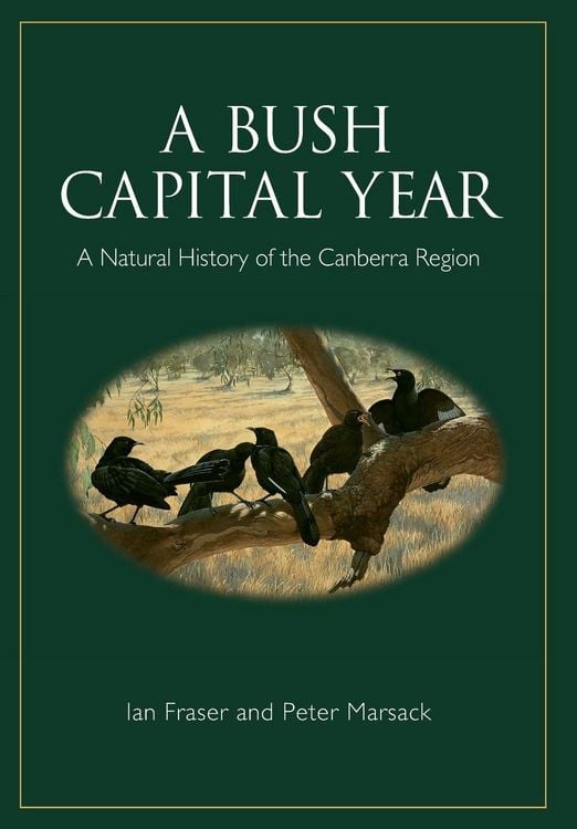 Produktbild: A Bush Capital Year