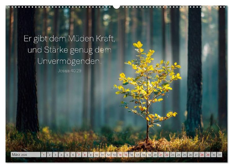 Produktbild: Psalmen und Bibelverse - Himmlische Botschaften (hochwertiger Premium Wandkalender 2026 DIN A2 quer), Kunstdruck in Hochglanz