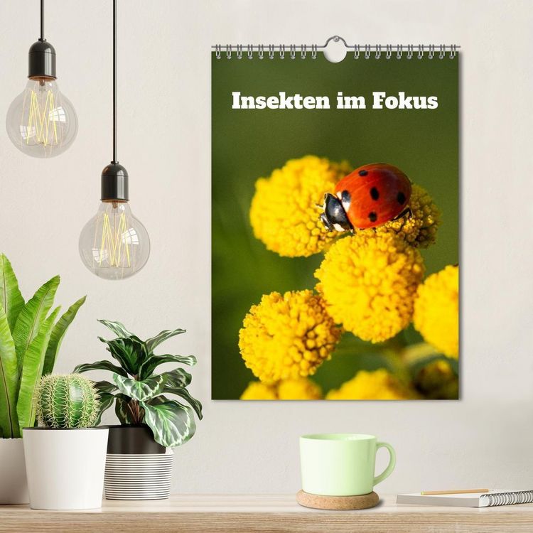 Produktbild: Insekten im Fokus (Wandkalender 2026 DIN A4 hoch), CALVENDO Monatskalender