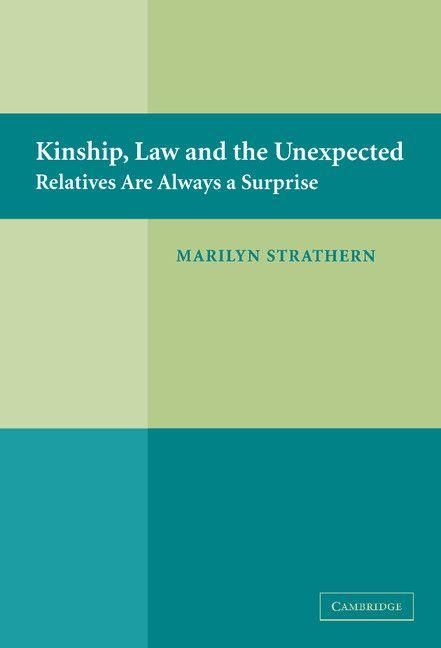 Produktbild: Kinship, Law and the Unexpected