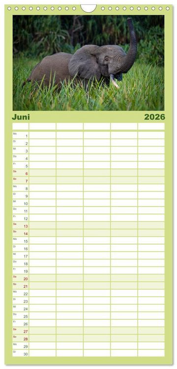 Produktbild: Familienplaner 2026 - KONGO - das dunkle Herz Afrikas mit 5 Spalten (Wandkalender, 21 x 45 cm) CALVENDO