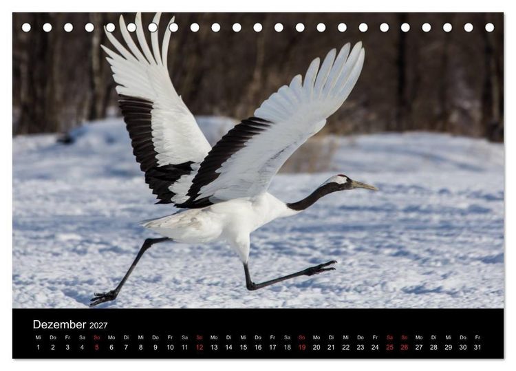 Produktbild: Mandschurenkraniche (Tischkalender 2027 DIN A5 quer), CALVENDO Monatskalender