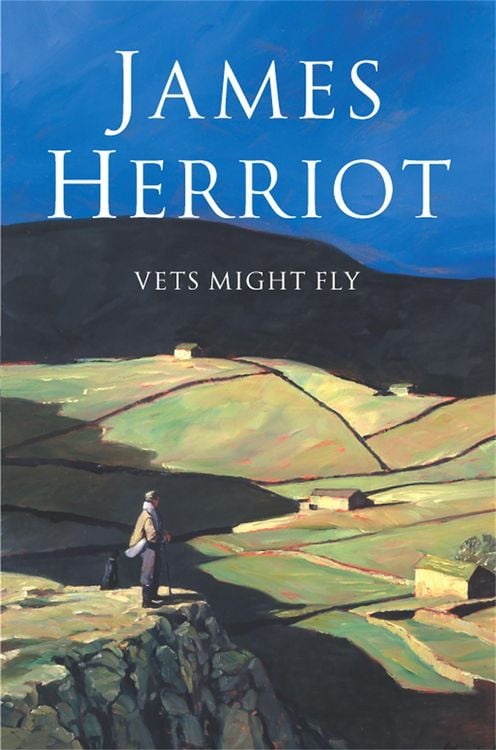 Produktbild: Vets Might Fly