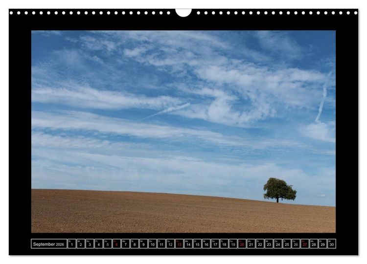 Produktbild: Odenwald - Landschaft sehen (Wandkalender 2026 DIN A3 quer), CALVENDO Monatskalender