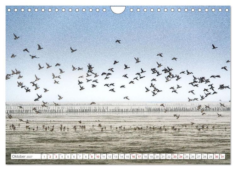 Produktbild: Naturerlebnis R&oslash;m&oslash; (Wandkalender 2027 DIN A4 quer), CALVENDO Monatskalender