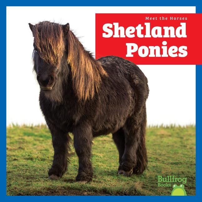 Produktbild: Shetland Ponies