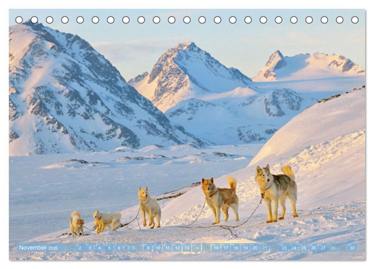 Produktbild: Schlittenhunderennen: Rasantes Schneetreiben (Tischkalender 2026 DIN A5 quer), CALVENDO Monatskalender