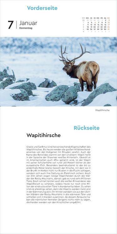 Produktbild: Sch&ouml;nheit des Nordens - KUNTH 365-Tage-Abrei&szlig;kalender 2027