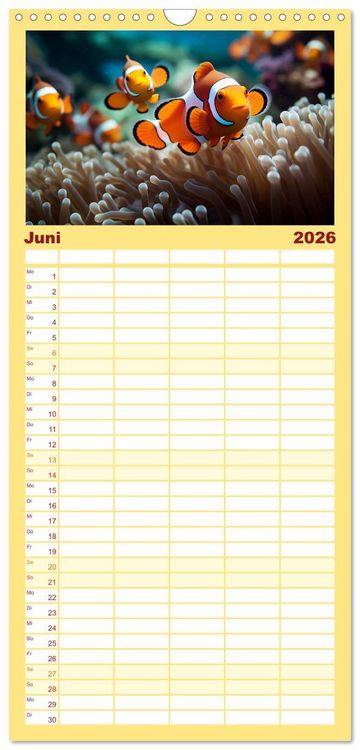 Produktbild: Familienplaner 2026 - Die Magie der Masse mit 5 Spalten (Wandkalender, 21 x 45 cm) CALVENDO