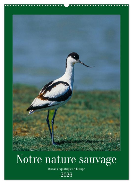 Produktbild: Notre nature sauvage, oiseaux aquatiques d'Europe (Calendrier mural 2026 DIN A2 horizontal), CALVENDO calendrier mensuel