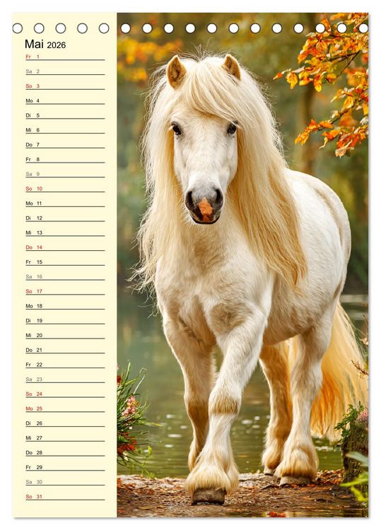 Produktbild: Zauber der Ponys. Kleine Pferde in der Natur (Tischkalender 2026 DIN A5 hoch), CALVENDO Monatskalender