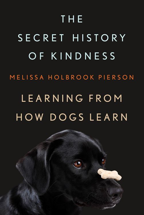 Produktbild: The Secret History of Kindness