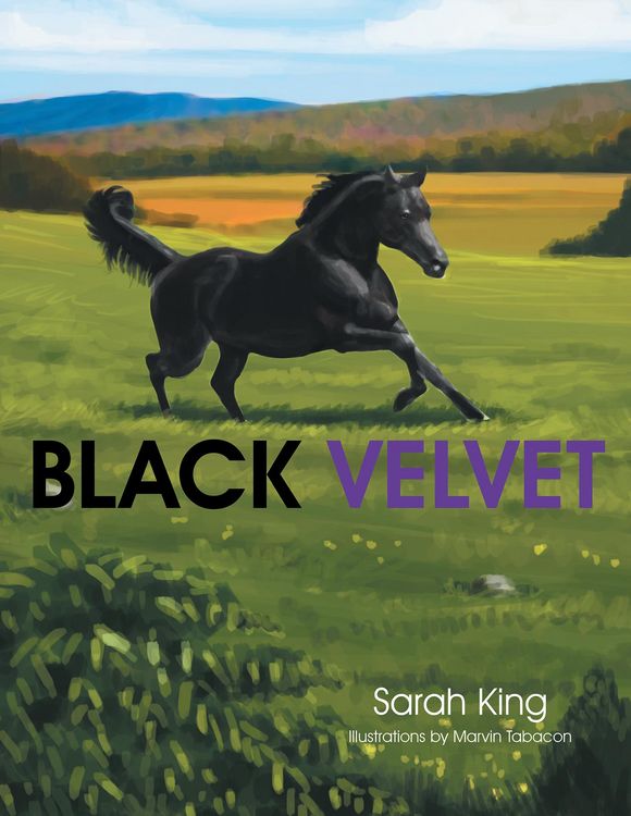 Produktbild: Black Velvet