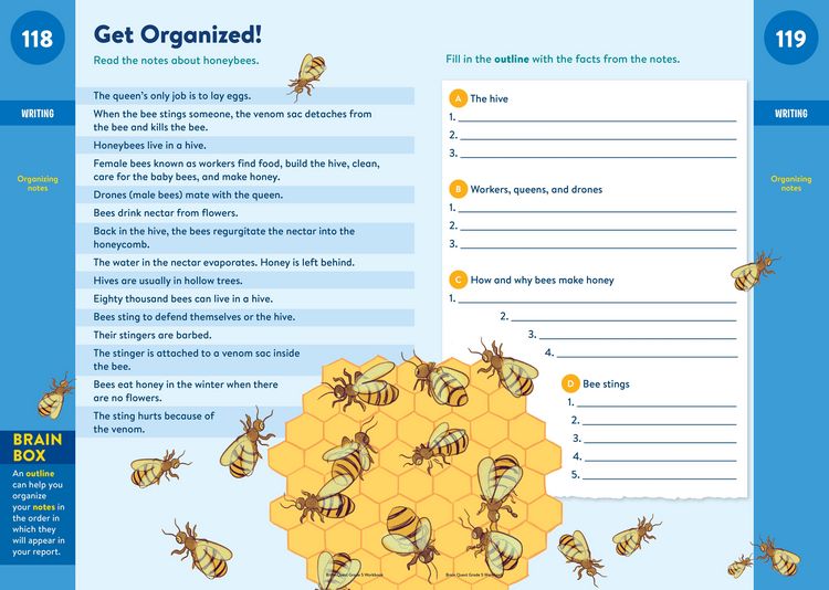 Produktbild: Brain Quest Workbook: 5th Grade Revised Edition