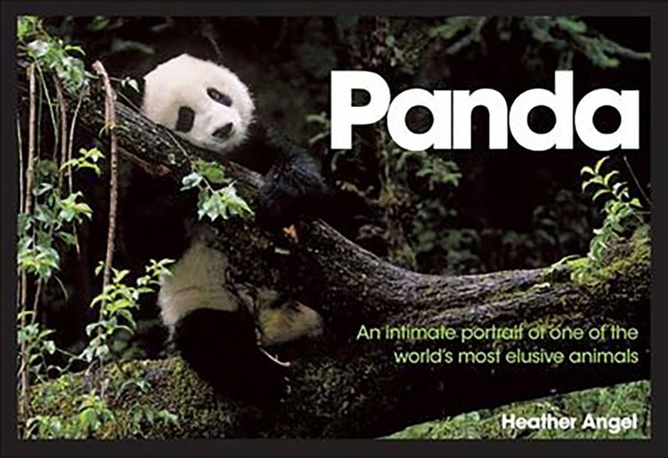 Produktbild: Panda