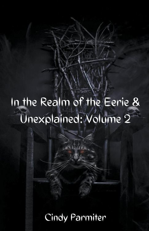 Produktbild: In The Realm of the Eerie & Unexplained