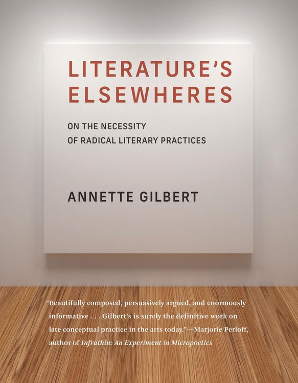 Produktbild: Literature's Elsewheres