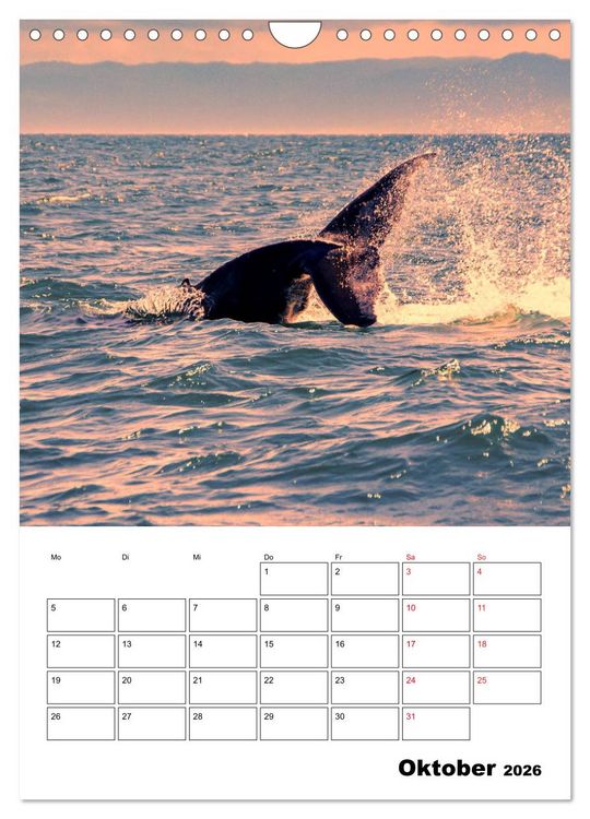 Produktbild: Karibik pur - mit Charme und Zauber (Wandkalender 2026 DIN A4 hoch), CALVENDO Monatskalender
