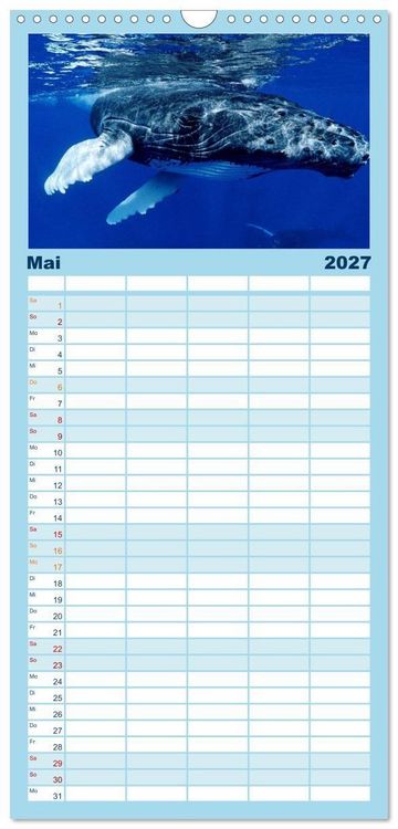 Produktbild: Familienplaner 2027 - Delfine und Wale mit 5 Spalten (Wandkalender, 21 x 45 cm) CALVENDO