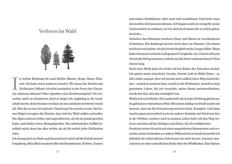 Produktbild: Die H&uuml;tte in der Mitte des Waldes