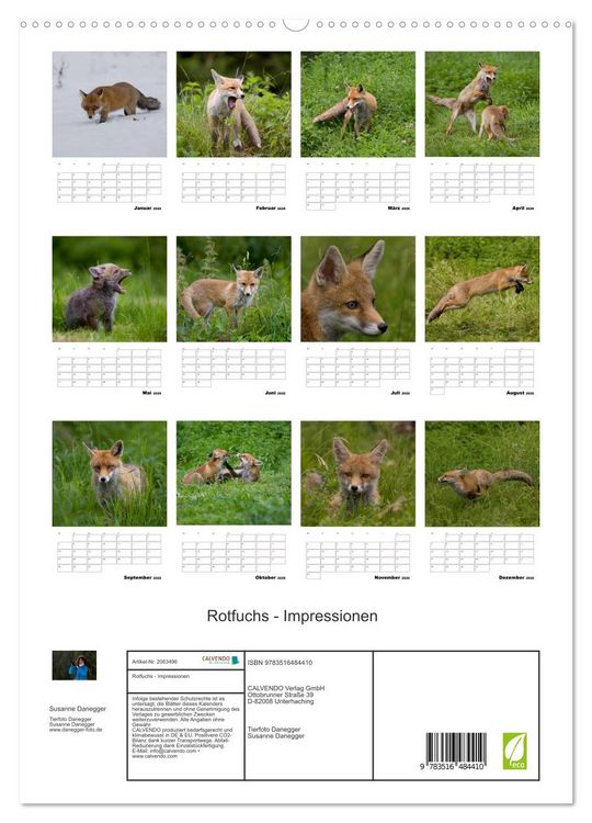 Produktbild: Rotfuchs - Impressionen (hochwertiger Premium Wandkalender 2026 DIN A2 hoch), Kunstdruck in Hochglanz