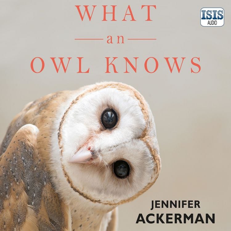 Produktbild: What an Owl Knows