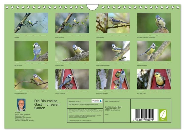 Produktbild: Die Blaumeise, Gast in unserem Garten (Wandkalender 2026 DIN A4 quer), CALVENDO Monatskalender