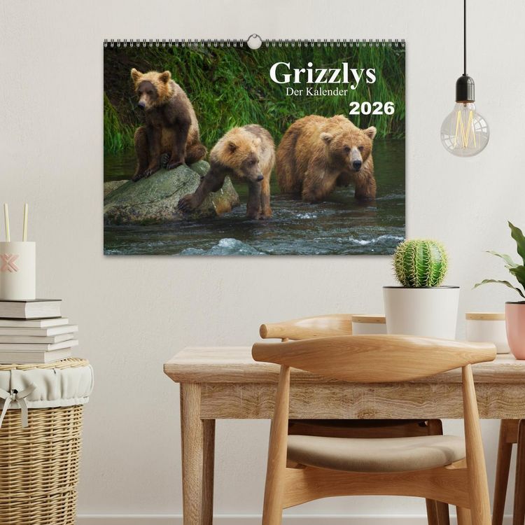 Produktbild: Grizzlys - Der Kalender (Wandkalender 2026 DIN A3 quer), CALVENDO Monatskalender