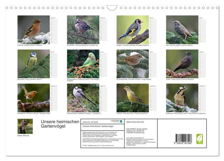 Produktbild: Unsere heimischen Gartenv&ouml;gel (Wandkalender 2026 DIN A3 quer), CALVENDO Monatskalender