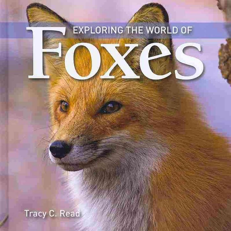 Produktbild: Exploring the World of Foxes