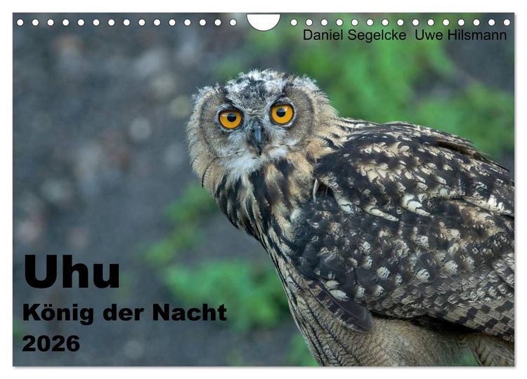 Produktbild: Uhu - K&ouml;nig der Nacht (Wandkalender 2026 DIN A4 quer), CALVENDO Monatskalender