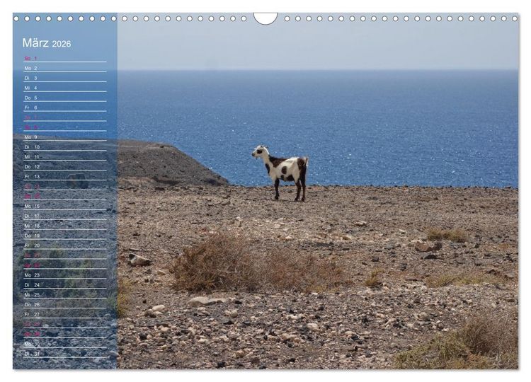 Produktbild: Fuerteventura in Ruhe (Wandkalender 2026 DIN A3 quer), CALVENDO Monatskalender
