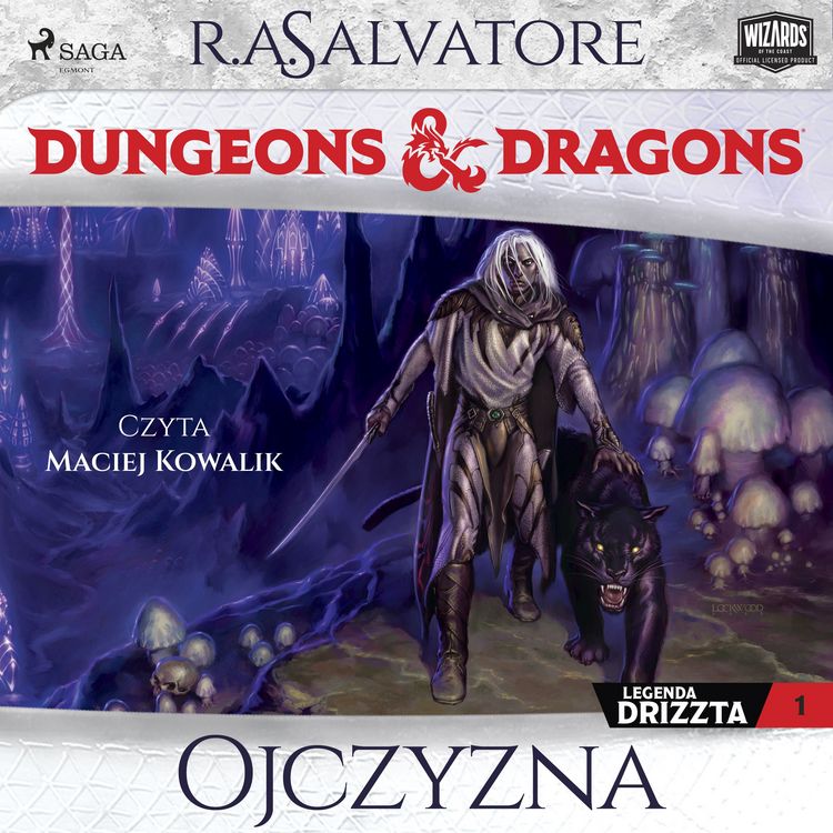 Produktbild: Dungeons&Dragons: Legenda Drizzta. Tom 1. Ojczyzna